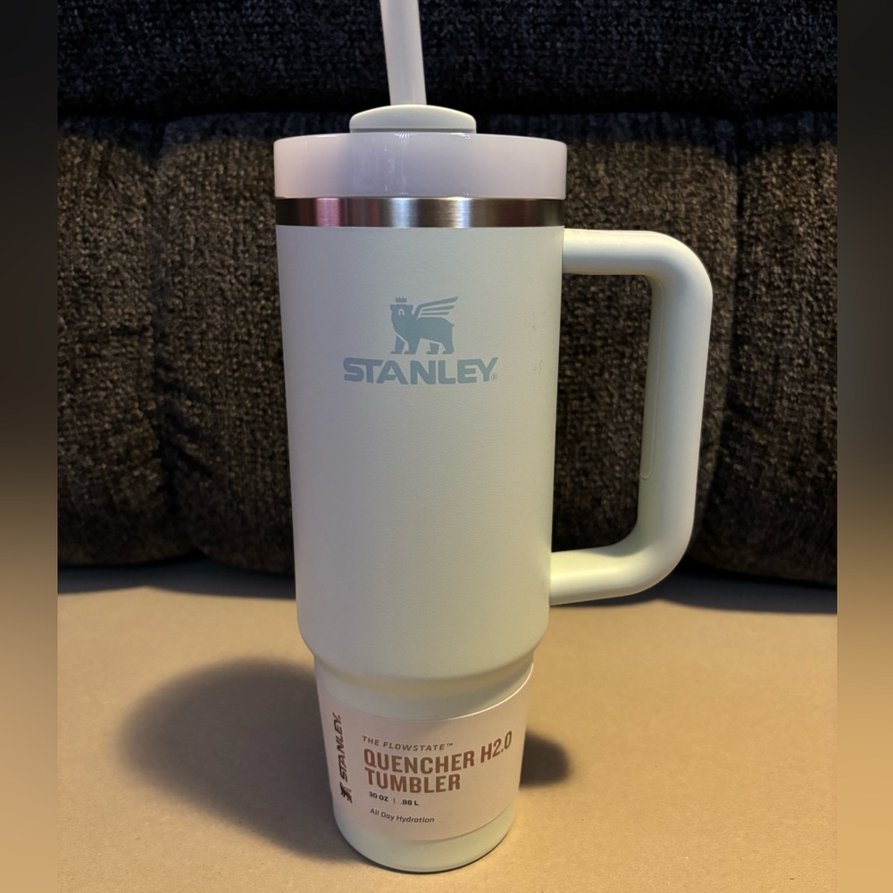 Light blue/mint Stanley 30 oz quencher H2O tumbler with straw